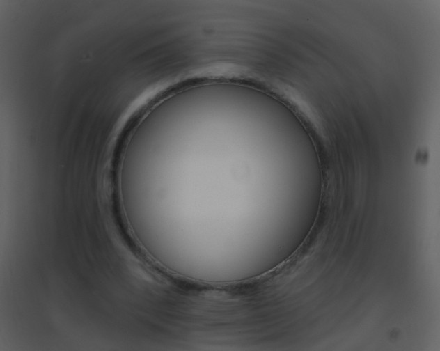 X0000095530392200712140939