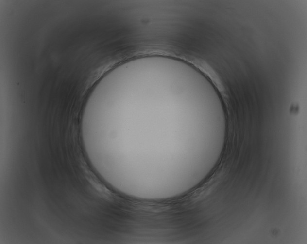 X0000095530393200712140939