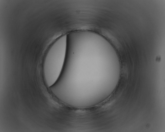 X0000095530394200712140939