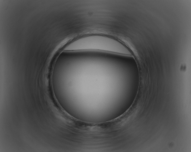 X0000095530395200712140939