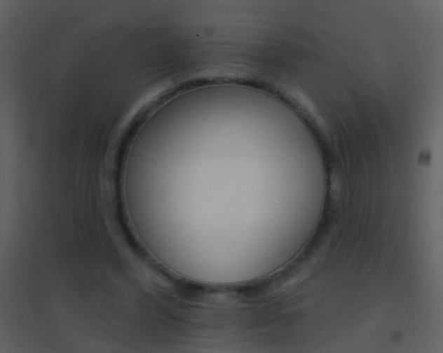 X0000095530396200712140939