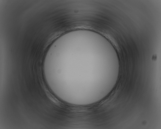 X0000095530397200712140939