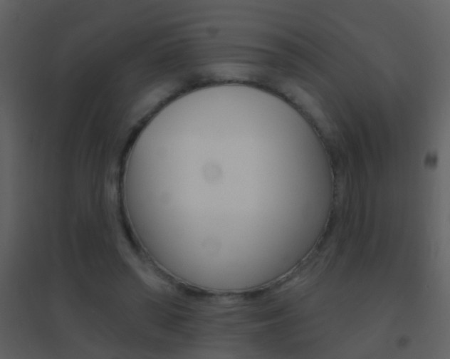 X0000095530398200712140939