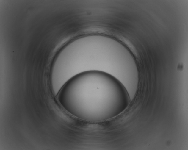 X0000095530399200712140939