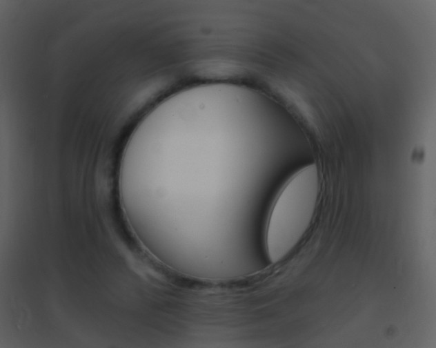 X0000095530400200712140939
