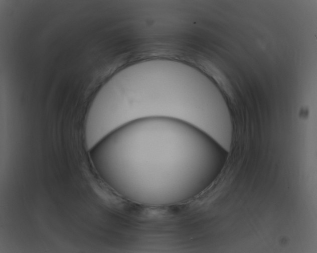 X0000095530401200712140939