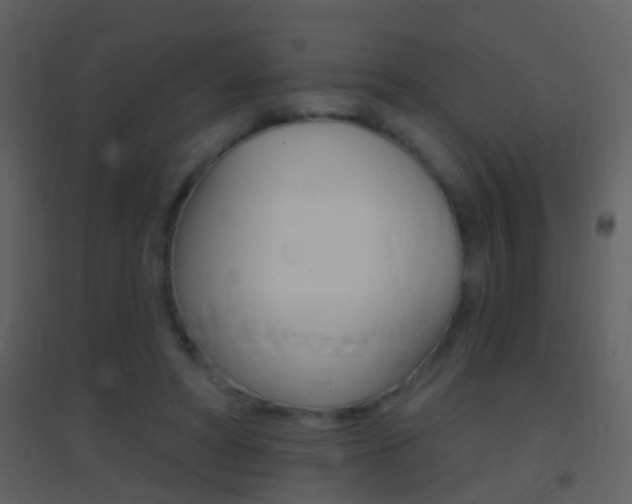 X0000095530402200712140939