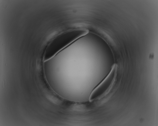 X0000095530403200712140939
