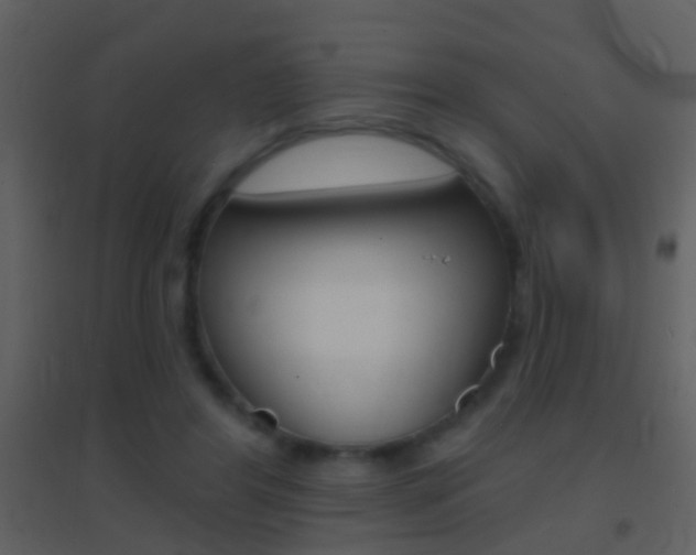 X0000095530404200712140939