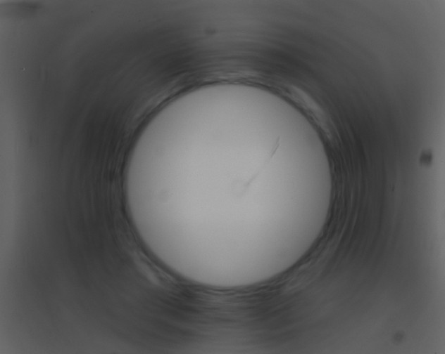 X0000095530405200712140939