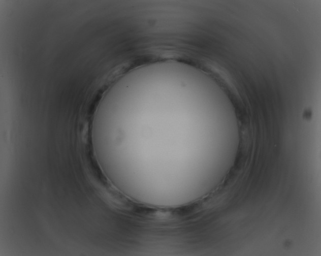 X0000095530406200712140939