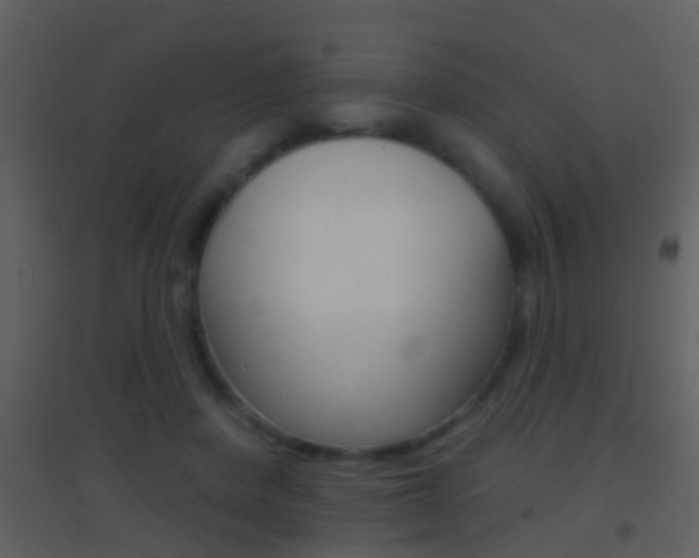 X0000095530408200712140939
