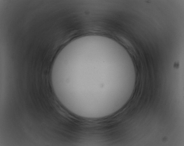 X0000095530409200712140939