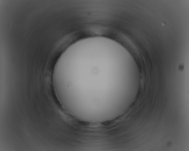 X0000095530410200712140939