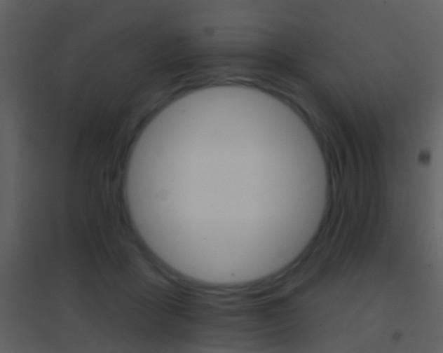 X0000095530411200712140939