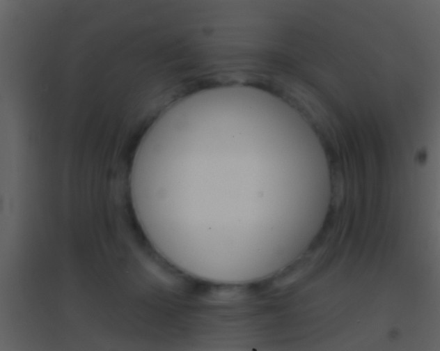 X0000095530414200712140939