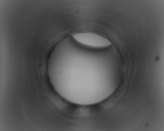 X0000095530416200712140939