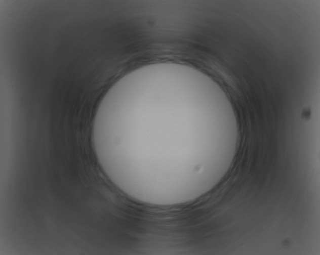 X0000095530417200712140939