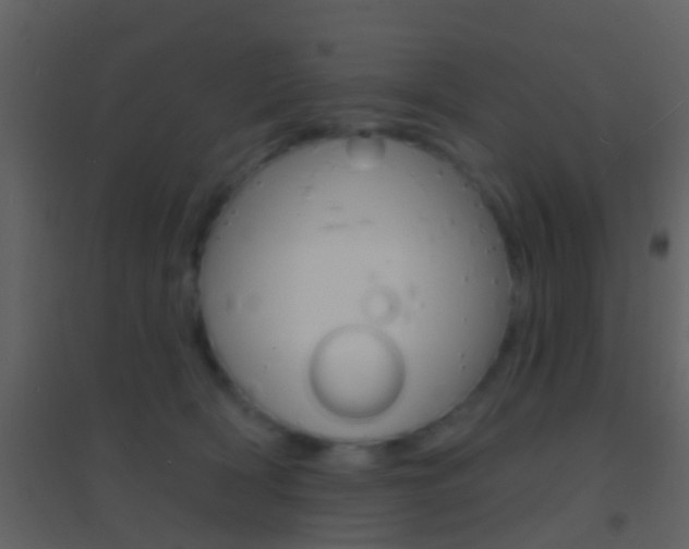 X0000095530418200712140939