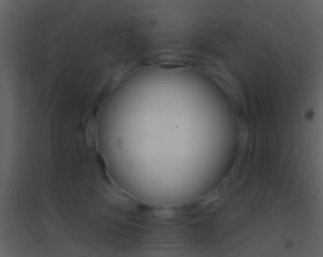 X0000095530419200712140939