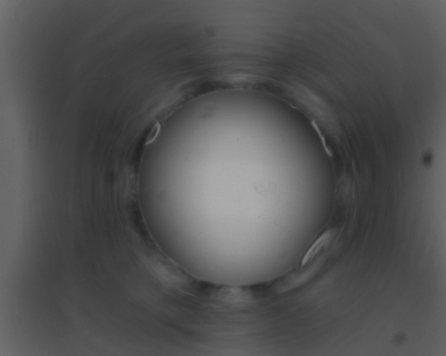 X0000095530421200712140939