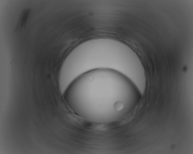 X0000095530423200712140939