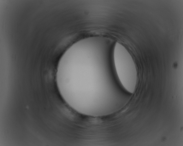 X0000095530424200712140939