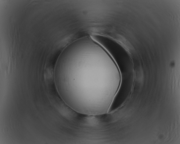 X0000095530425200712140939