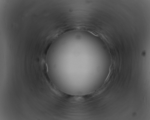 X0000095530427200712140939