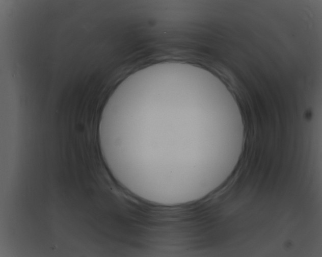 X0000095530429200712140938