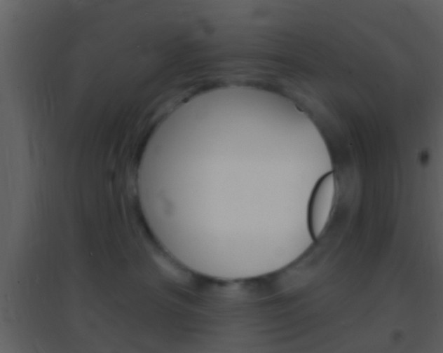 X0000095530430200712140938