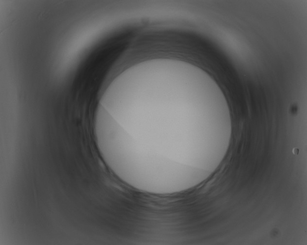 X0000095530431200712140938