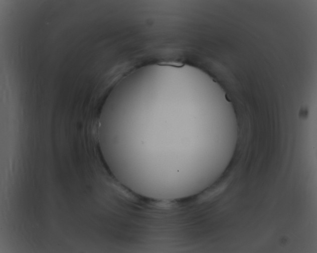 X0000095530432200712140938