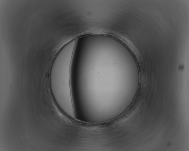 X0000095530433200712140938