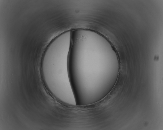 X0000095530434200712140938