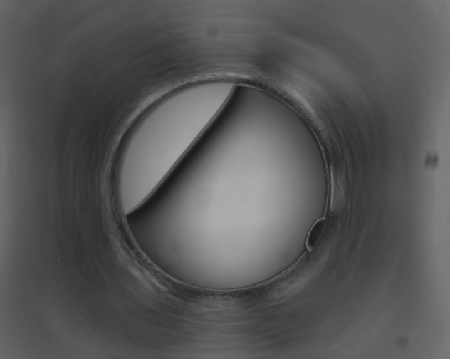 X0000095530435200712140938