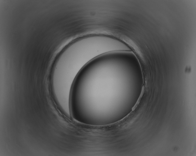 X0000095530436200712140938