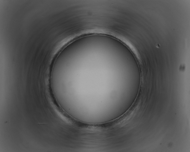 X0000095530437200712140938