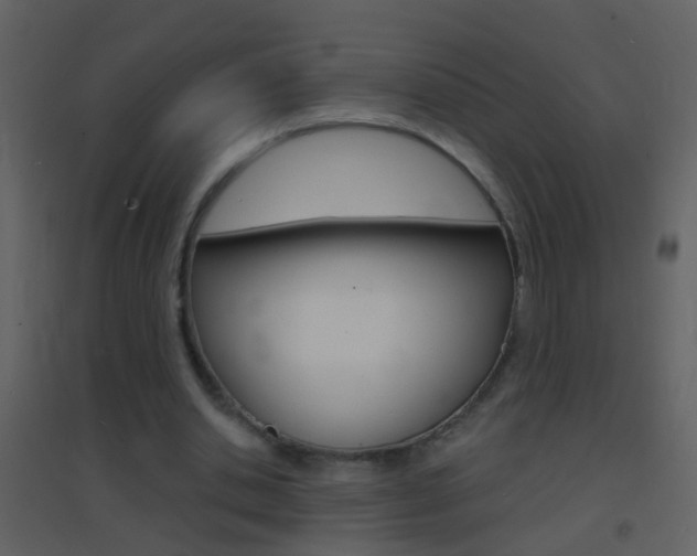 X0000095530438200712140938