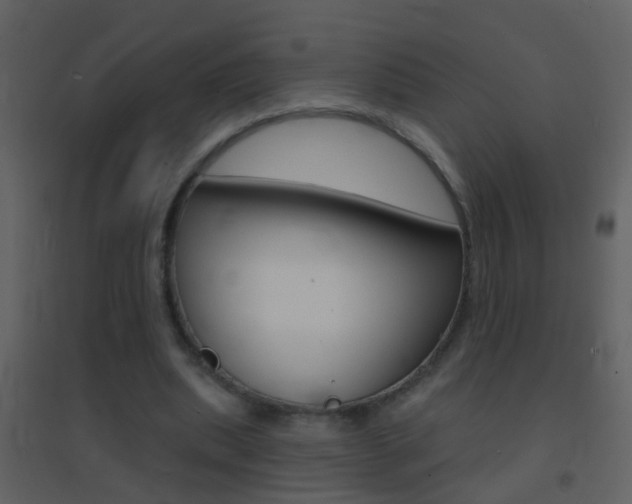 X0000095530439200712140938