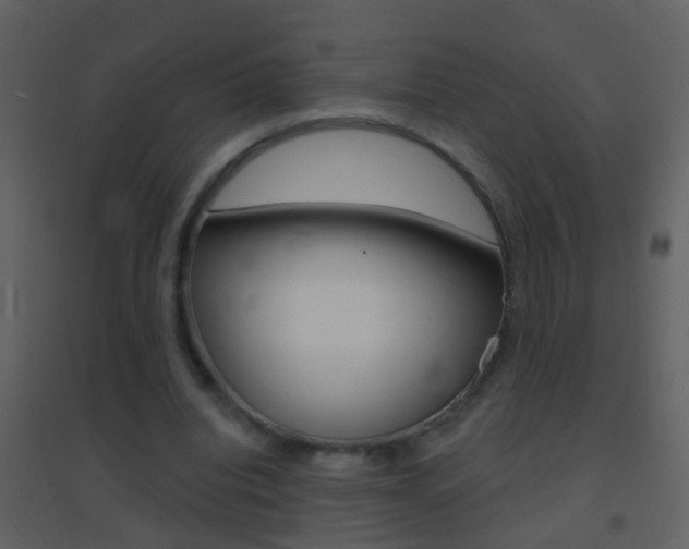 X0000095530440200712140938