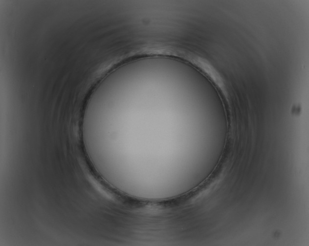 X0000095530441200712140938