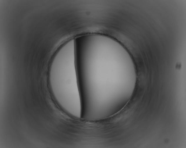 X0000095530442200712140938