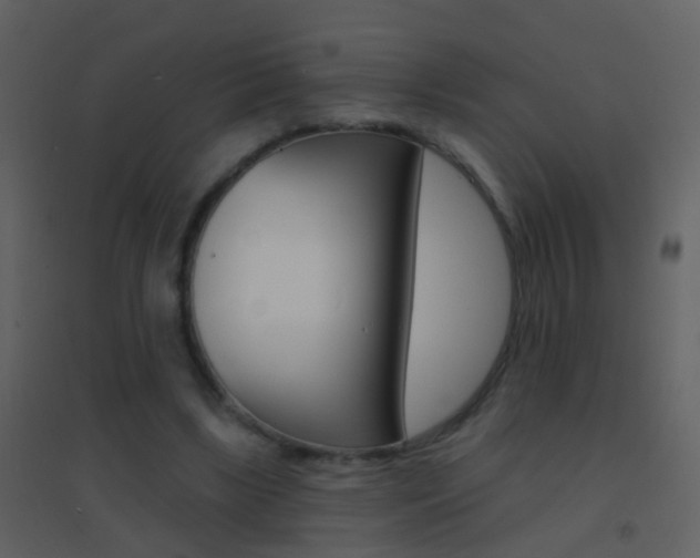 X0000095530443200712140938