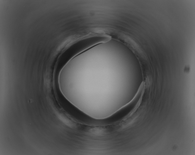 X0000095530444200712140938
