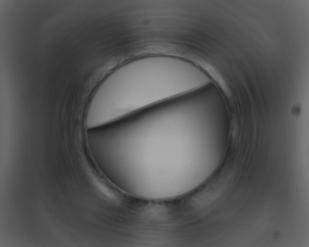 X0000095530445200712140938