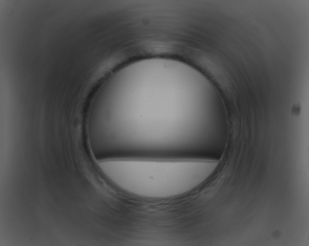 X0000095530447200712140938