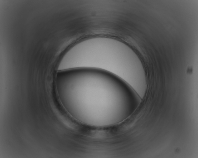 X0000095530448200712140938