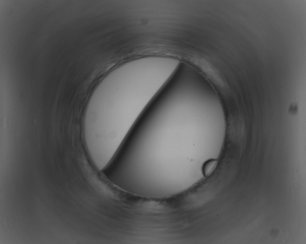 X0000095530449200712140938