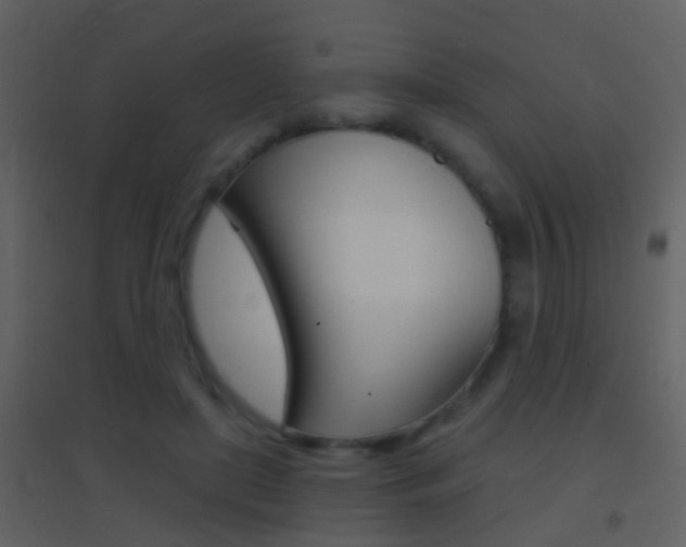 X0000095530451200712140938
